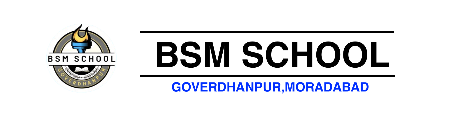 BSM LOGO